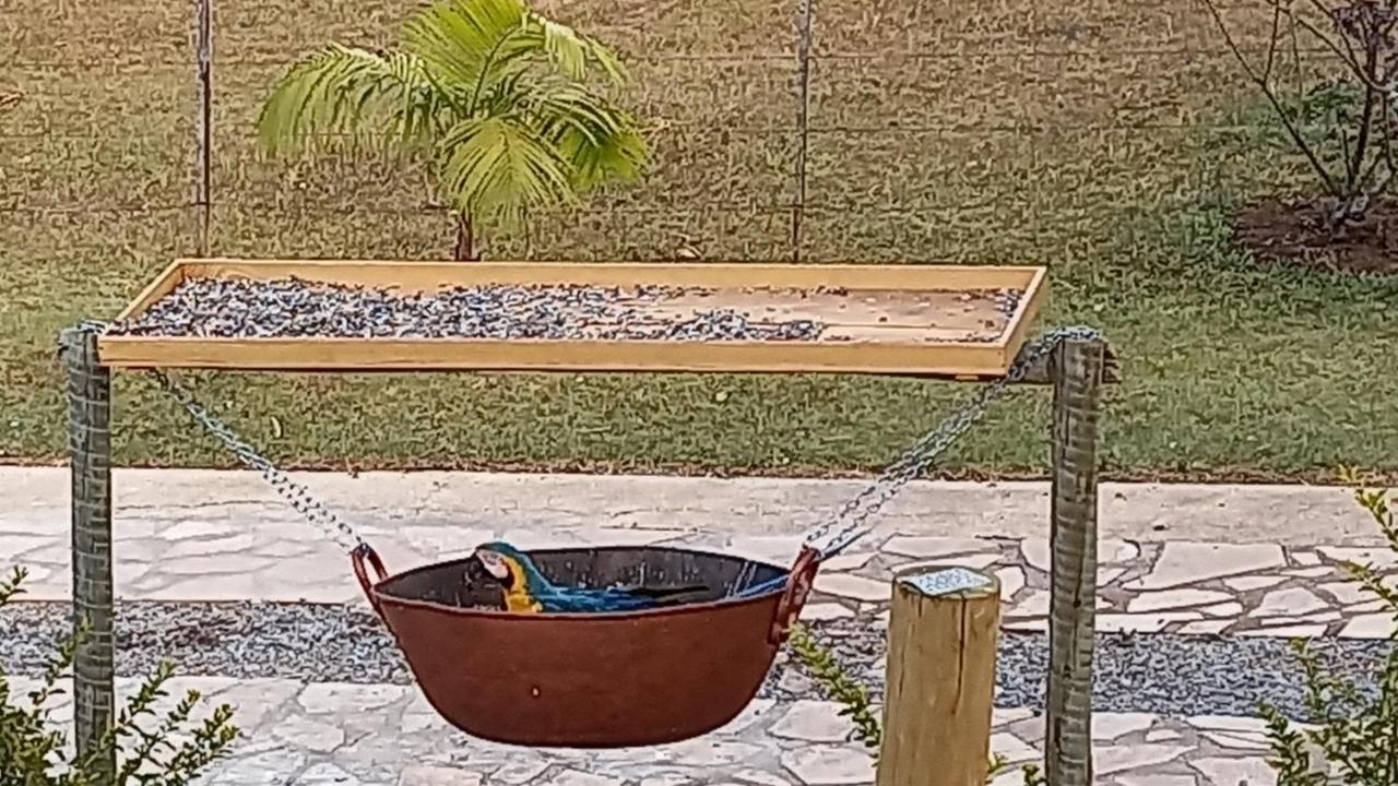 Pousada Canto Dos Passaros Alto Paraíso de Goiás Dış mekan fotoğraf